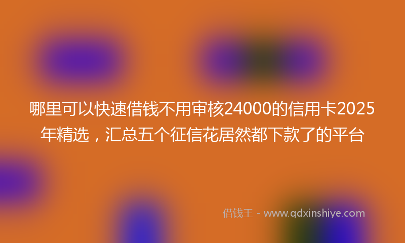 哪里可以快速借钱不用审核24000的信用卡2025年精选，汇总五个征信花居然都下款了的平台