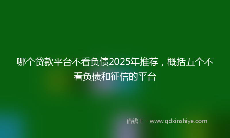 哪个贷款平台不看负债2025年推荐，概括五个不看负债和征信的平台