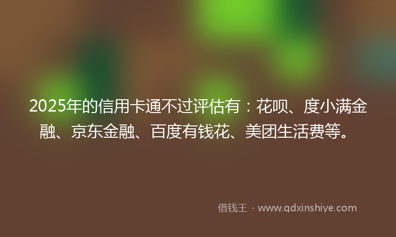 2025年的信用卡通不过评估有：花呗、度小满金融、京东金融、百度有钱花、美团生活费等。