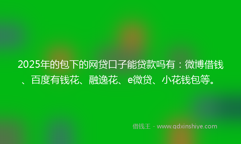 2025年的包下的网贷口子能贷款吗有：微博借钱、百度有钱花、融逸花、e微贷、小花钱包等。