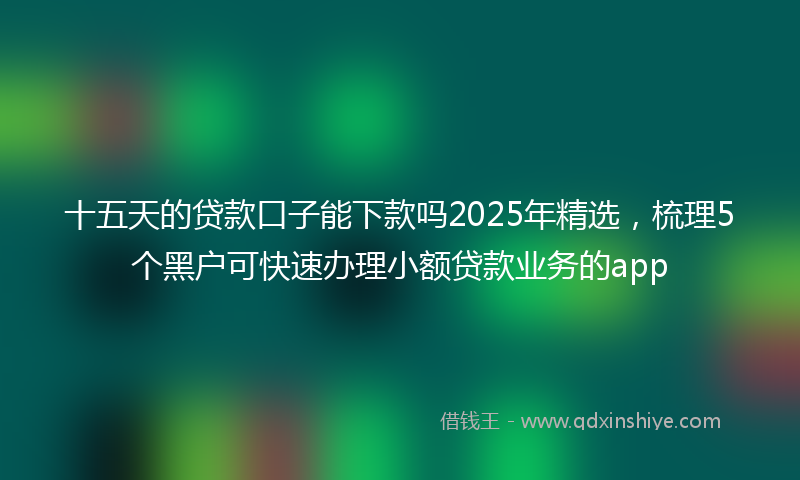 十五天的贷款口子能下款吗2025年精选，梳理5个黑户可快速办理小额贷款业务的app