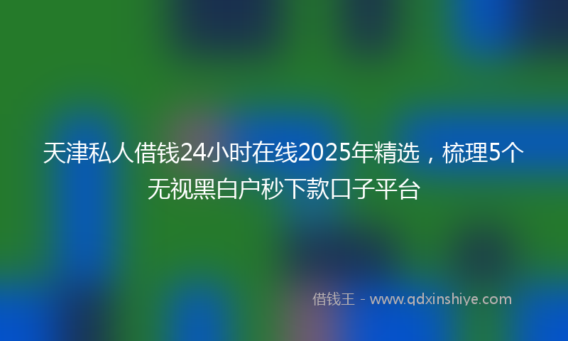天津私人借钱24小时在线2025年精选，梳理5个无视黑白户秒下款口子平台