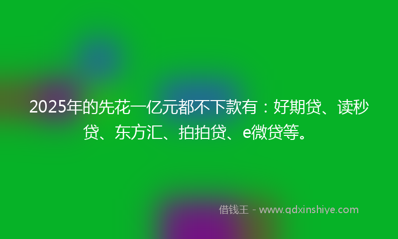2025年的先花一亿元都不下款有：好期贷、读秒贷、东方汇、拍拍贷、e微贷等。