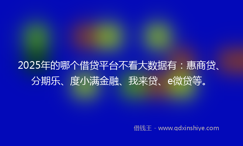 2025年的哪个借贷平台不看大数据有：惠商贷、分期乐、度小满金融、我来贷、e微贷等。