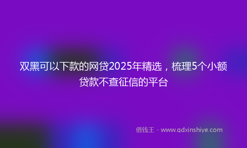 双黑可以下款的网贷2025年精选，梳理5个小额贷款不查征信的平台