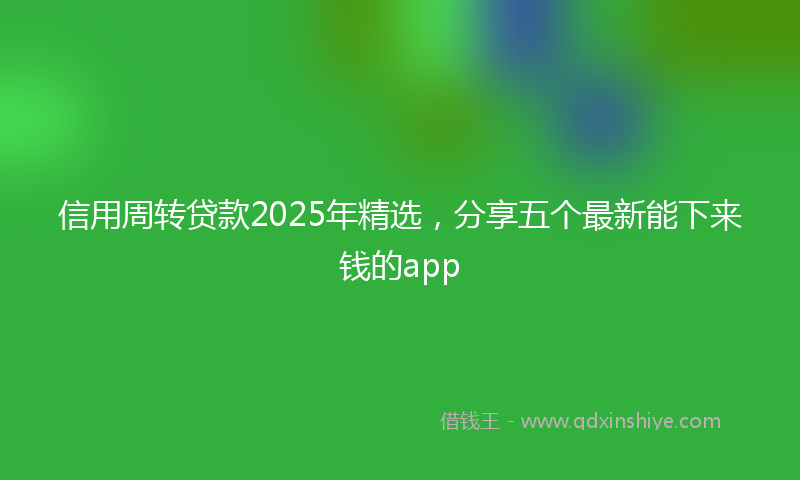 信用周转贷款2025年精选，分享五个最新能下来钱的app