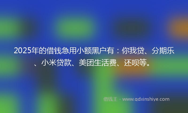 2025年的借钱急用小额黑户有：你我贷、分期乐、小米贷款、美团生活费、还呗等。
