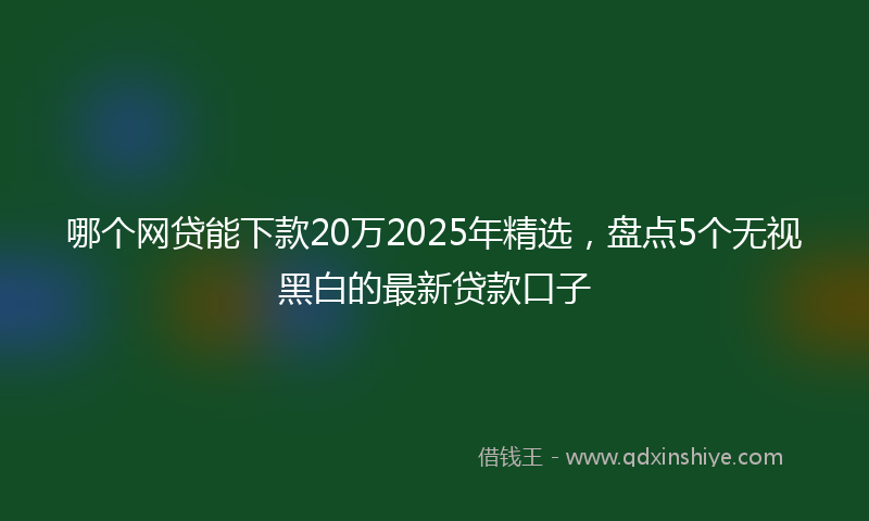 哪个网贷能下款20万2025年精选，盘点5个无视黑白的最新贷款口子