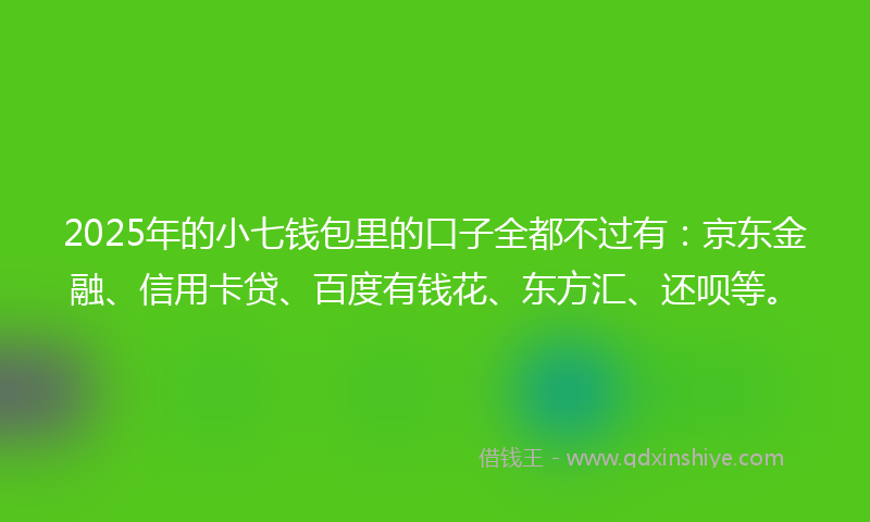 2025年的小七钱包里的口子全都不过有：京东金融、信用卡贷、百度有钱花、东方汇、还呗等。