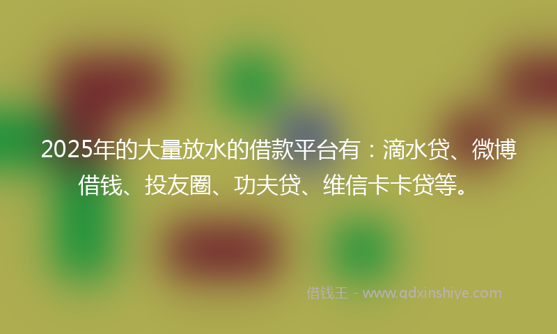 2025年的大量放水的借款平台有：滴水贷、微博借钱、投友圈、功夫贷、维信卡卡贷等。
