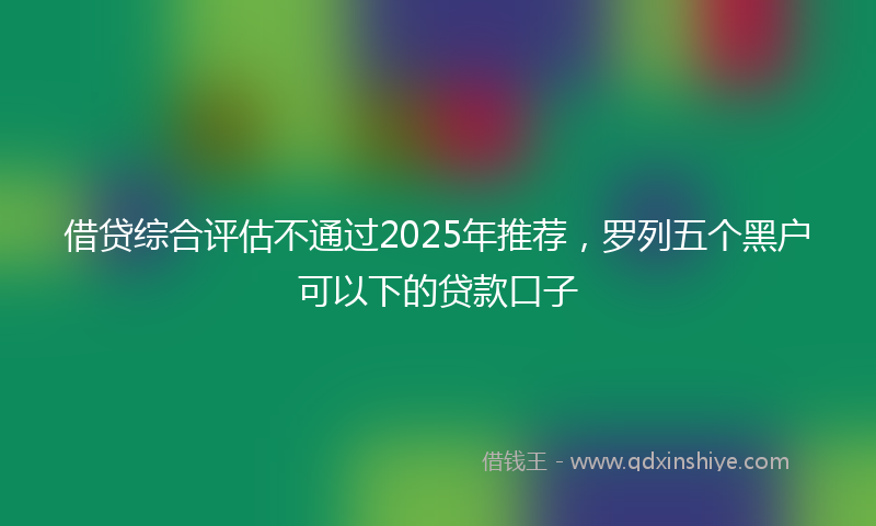 借贷综合评估不通过2025年推荐，罗列五个黑户可以下的贷款口子