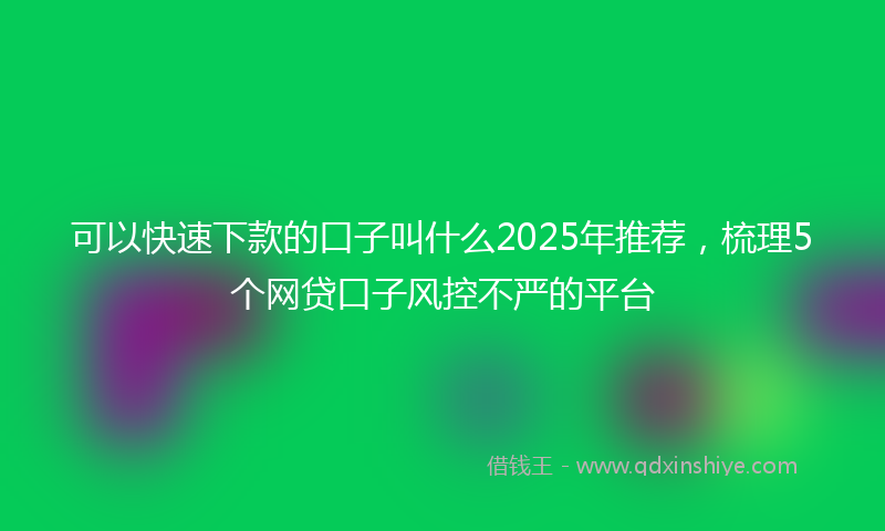 可以快速下款的口子叫什么2025年推荐，梳理5个网贷口子风控不严的平台