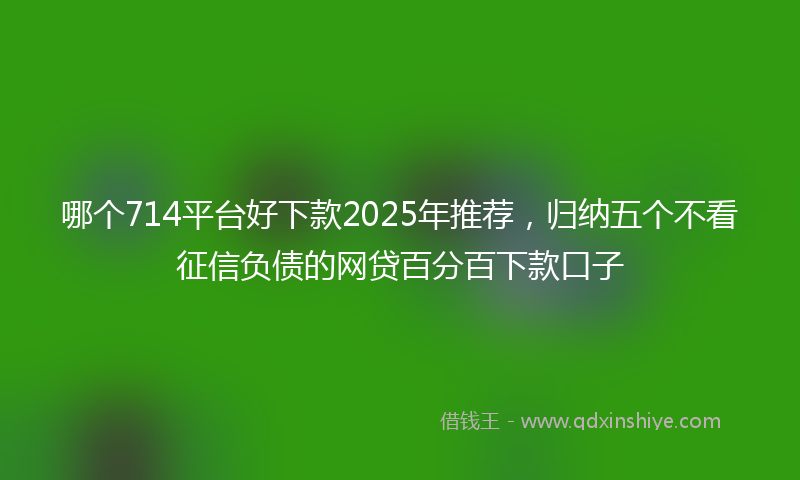 哪个714平台好下款2025年推荐，归纳五个不看征信负债的网贷百分百下款口子