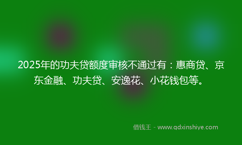 2025年的功夫贷额度审核不通过有：惠商贷、京东金融、功夫贷、安逸花、小花钱包等。
