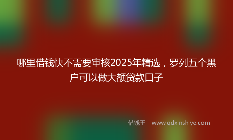 哪里借钱快不需要审核2025年精选，罗列五个黑户可以做大额贷款口子