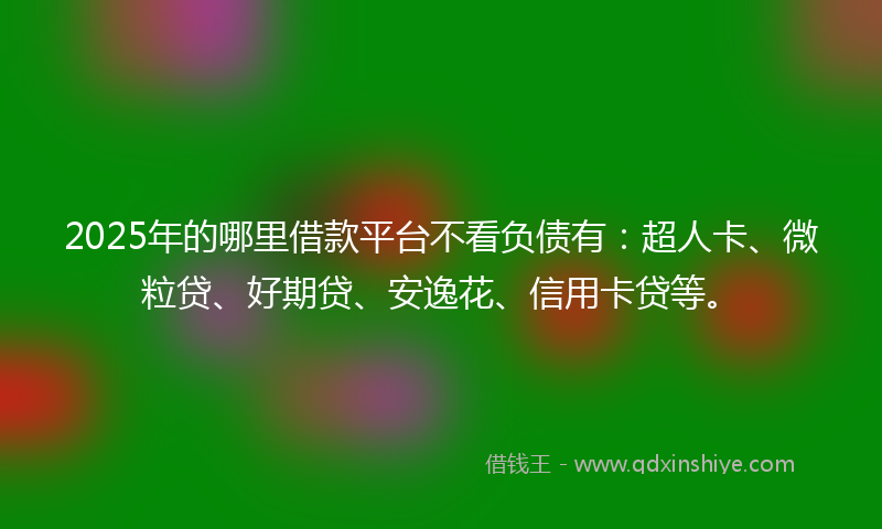 2025年的哪里借款平台不看负债有：超人卡、微粒贷、好期贷、安逸花、信用卡贷等。