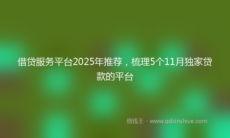 借贷服务平台2025年推荐，梳理5个11月独家贷款的平台