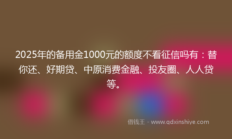2025年的备用金1000元的额度不看征信吗有：替你还、好期贷、中原消费金融、投友圈、人人贷等。