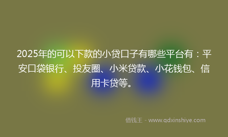 2025年的可以下款的小贷口子有哪些平台有：平安口袋银行、投友圈、小米贷款、小花钱包、信用卡贷等。