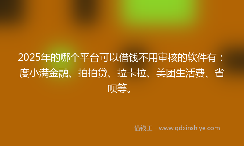 2025年的哪个平台可以借钱不用审核的软件有：度小满金融、拍拍贷、拉卡拉、美团生活费、省呗等。