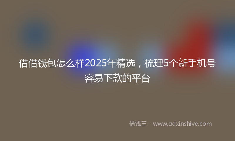 借借钱包怎么样2025年精选，梳理5个新手机号容易下款的平台