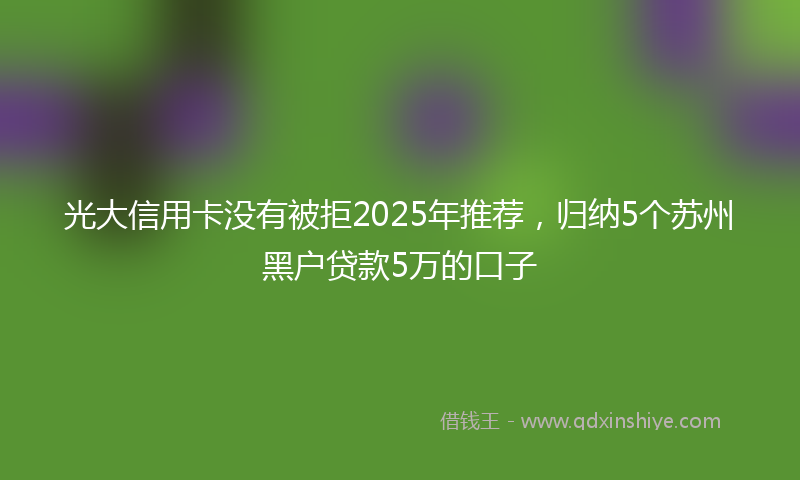 光大信用卡没有被拒2025年推荐，归纳5个苏州黑户贷款5万的口子