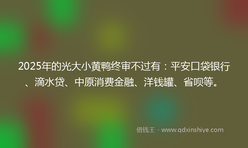 2025年的光大小黄鸭终审不过有：平安口袋银行、滴水贷、中原消费金融、洋钱罐、省呗等。