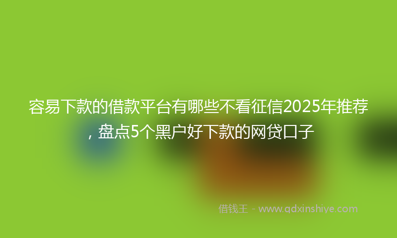 容易下款的借款平台有哪些不看征信2025年推荐，盘点5个黑户好下款的网贷口子