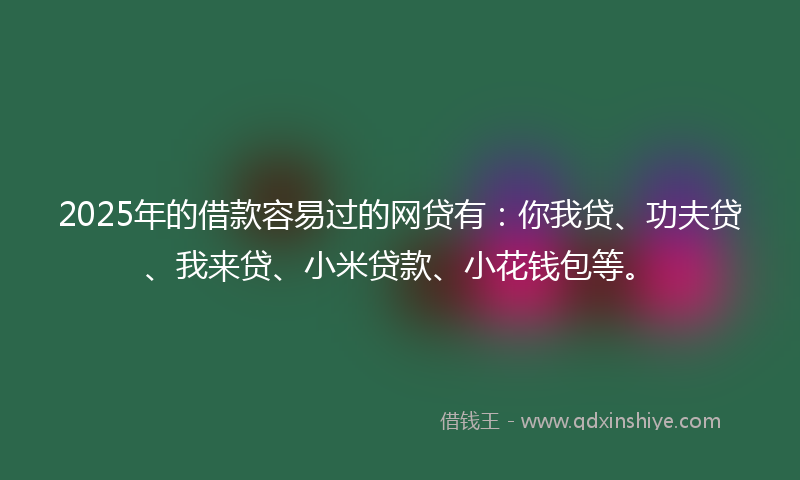 2025年的借款容易过的网贷有：你我贷、功夫贷、我来贷、小米贷款、小花钱包等。