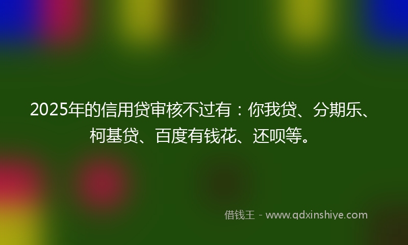 2025年的信用贷审核不过有：你我贷、分期乐、柯基贷、百度有钱花、还呗等。