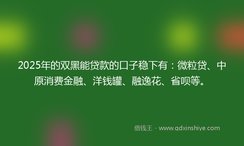2025年的双黑能贷款的口子稳下有：微粒贷、中原消费金融、洋钱罐、融逸花、省呗等。
