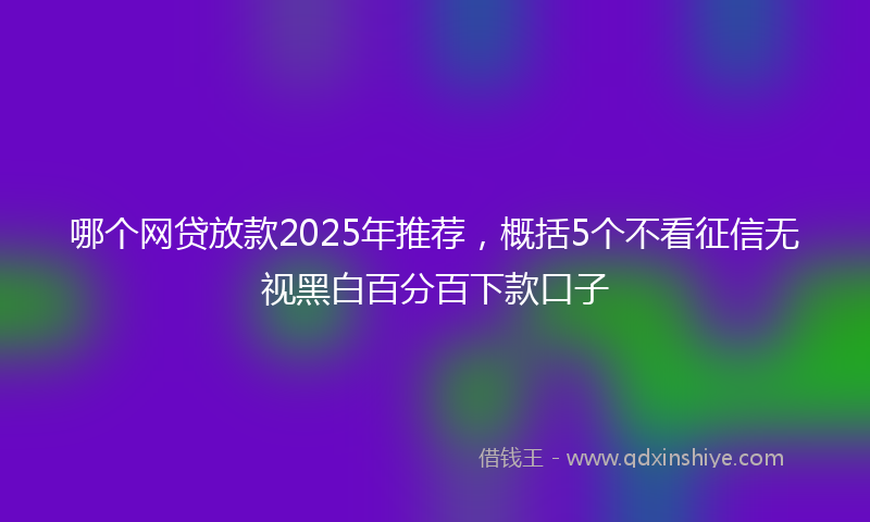 哪个网贷放款2025年推荐，概括5个不看征信无视黑白百分百下款口子