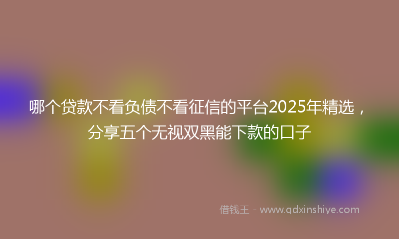 哪个贷款不看负债不看征信的平台2025年精选，分享五个无视双黑能下款的口子
