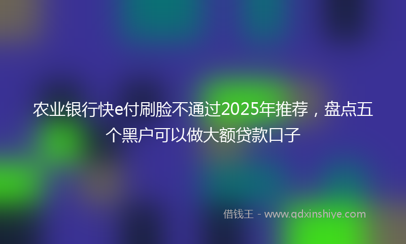 农业银行快e付刷脸不通过2025年推荐，盘点五个黑户可以做大额贷款口子