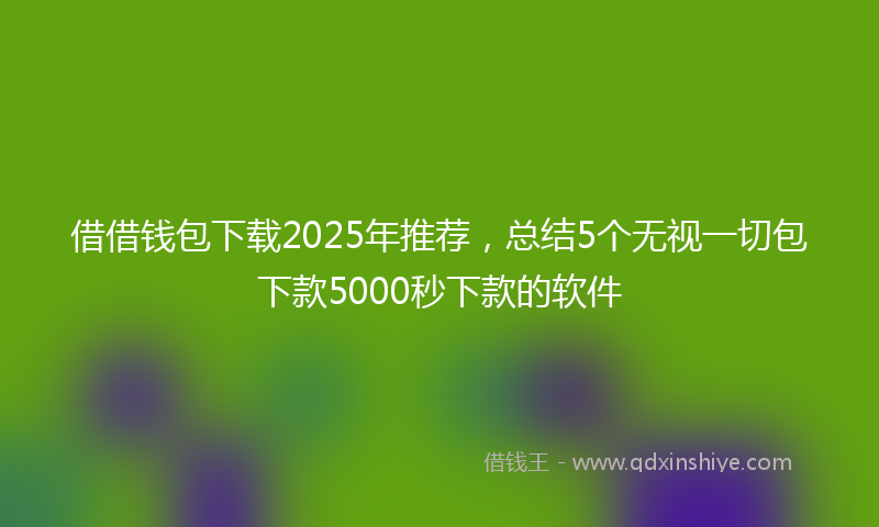 借借钱包下载2025年推荐，总结5个无视一切包下款5000秒下款的软件