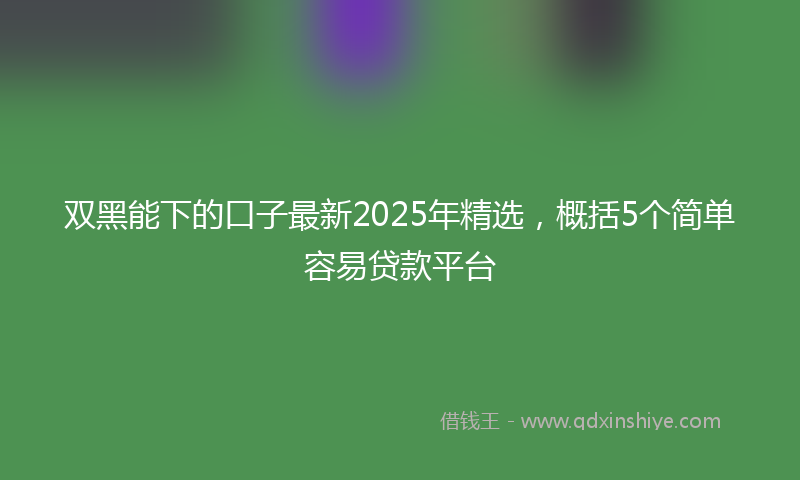 双黑能下的口子最新2025年精选，概括5个简单容易贷款平台