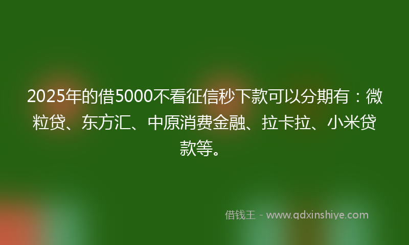2025年的借5000不看征信秒下款可以分期有：微粒贷、东方汇、中原消费金融、拉卡拉、小米贷款等。