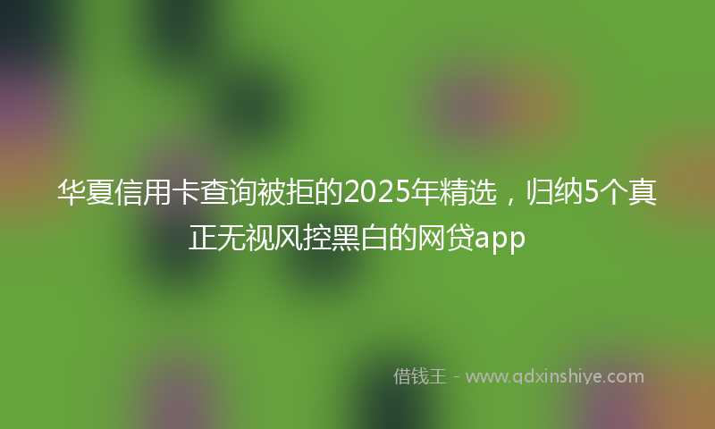 华夏信用卡查询被拒的2025年精选，归纳5个真正无视风控黑白的网贷app