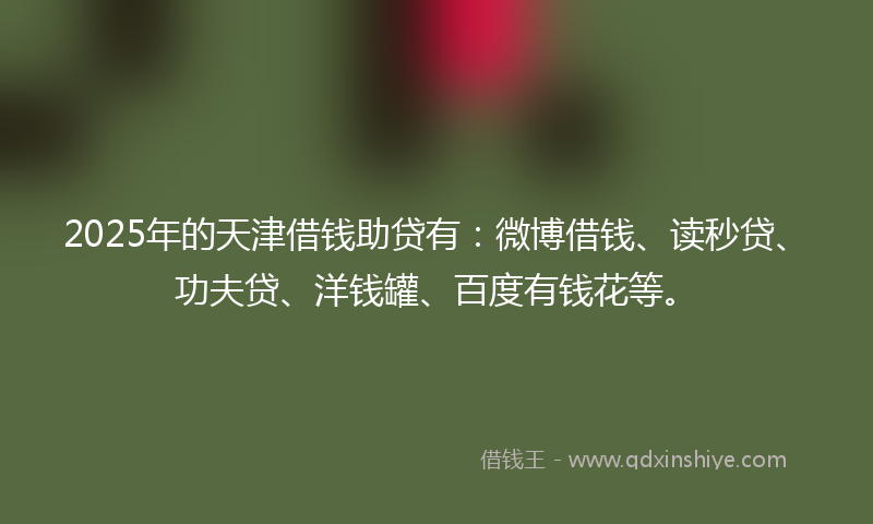 2025年的天津借钱助贷有：微博借钱、读秒贷、功夫贷、洋钱罐、百度有钱花等。