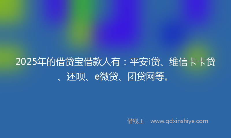 2025年的借贷宝借款人有：平安i贷、维信卡卡贷、还呗、e微贷、团贷网等。