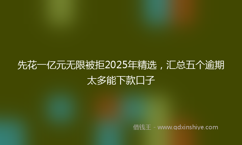 先花一亿元无限被拒2025年精选，汇总五个逾期太多能下款口子