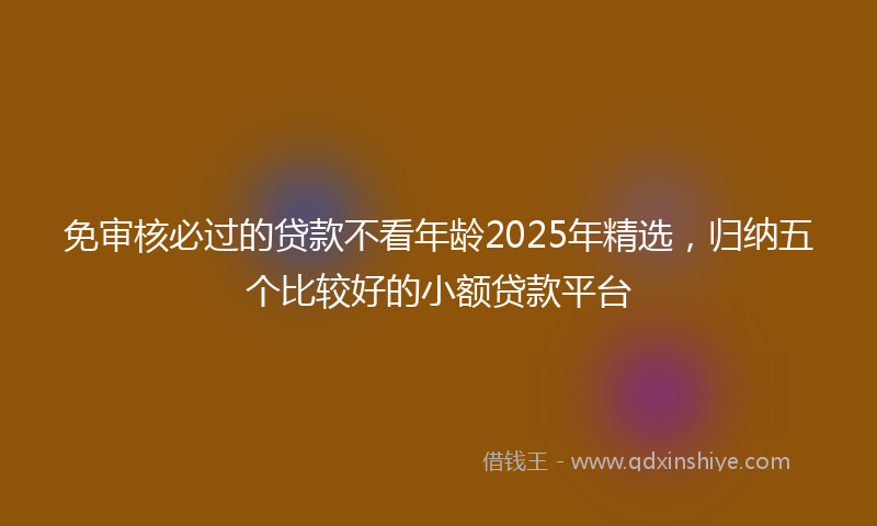 免审核必过的贷款不看年龄2025年精选，归纳五个比较好的小额贷款平台