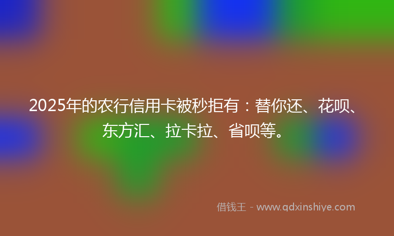 2025年的农行信用卡被秒拒有：替你还、花呗、东方汇、拉卡拉、省呗等。