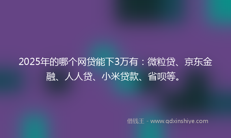 2025年的哪个网贷能下3万有：微粒贷、京东金融、人人贷、小米贷款、省呗等。