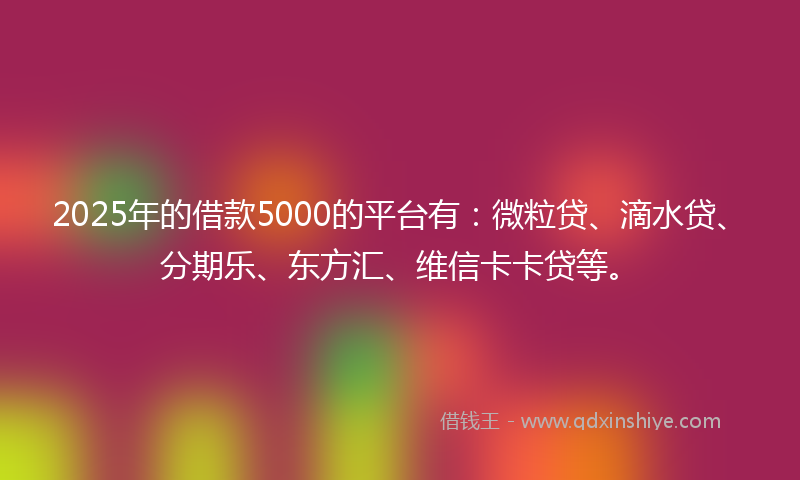 2025年的借款5000的平台有：微粒贷、滴水贷、分期乐、东方汇、维信卡卡贷等。