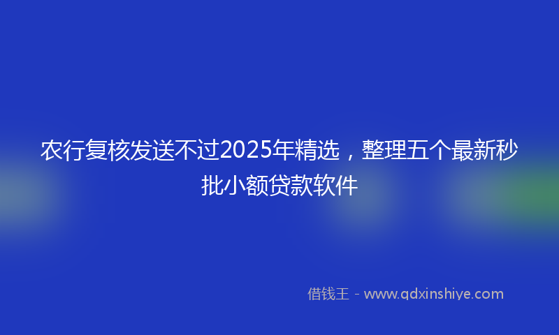 农行复核发送不过2025年精选，整理五个最新秒批小额贷款软件