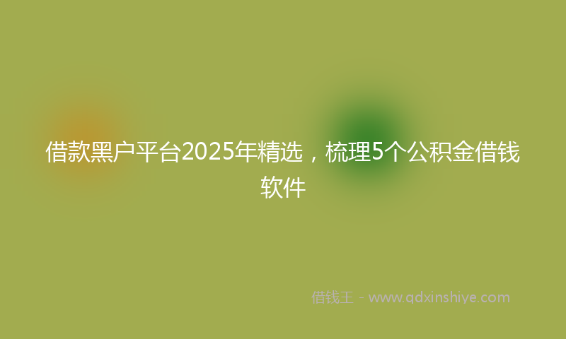 借款黑户平台2025年精选，梳理5个公积金借钱软件