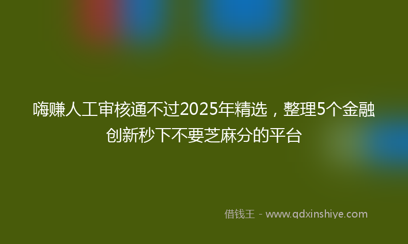 嗨赚人工审核通不过2025年精选，整理5个金融创新秒下不要芝麻分的平台