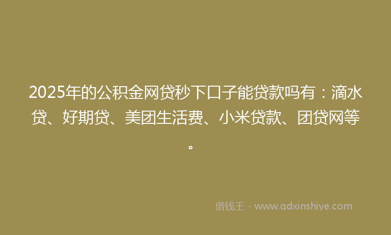 2025年的公积金网贷秒下口子能贷款吗有：滴水贷、好期贷、美团生活费、小米贷款、团贷网等。