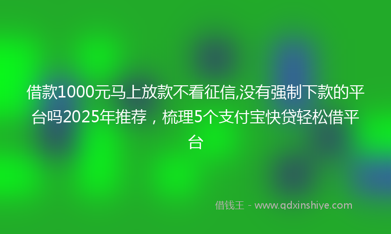 借款1000元马上放款不看征信,没有强制下款的平台吗2025年推荐，梳理5个支付宝快贷轻松借平台